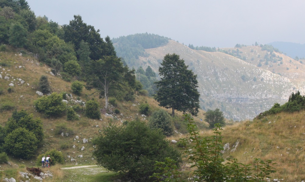 20a_Troi_Trek_La_via_delle_Malghe_2015_038