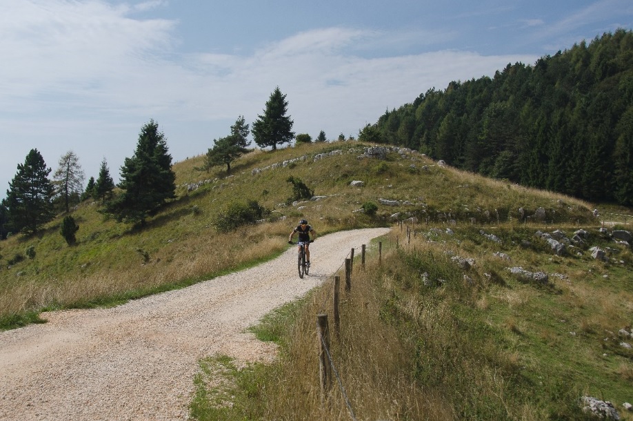 20a_Troi_Trek_La_via_delle_Malghe_2015_059